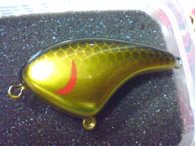 金黒_a0040876_23583879.jpg