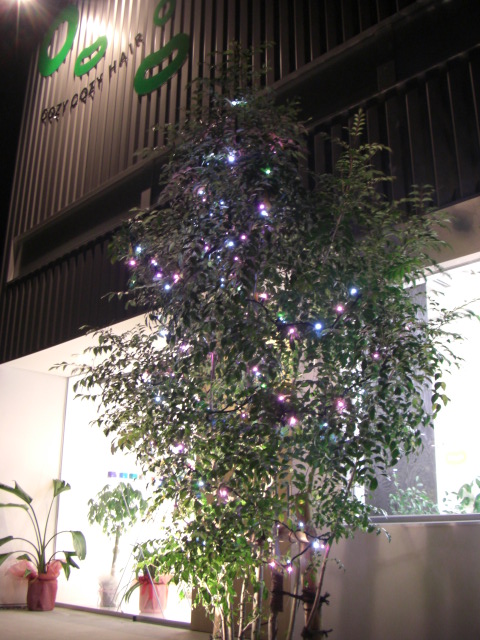 f0172281_18551776.jpg