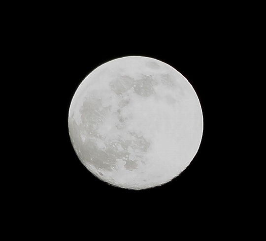 b0115085_23172456.jpg