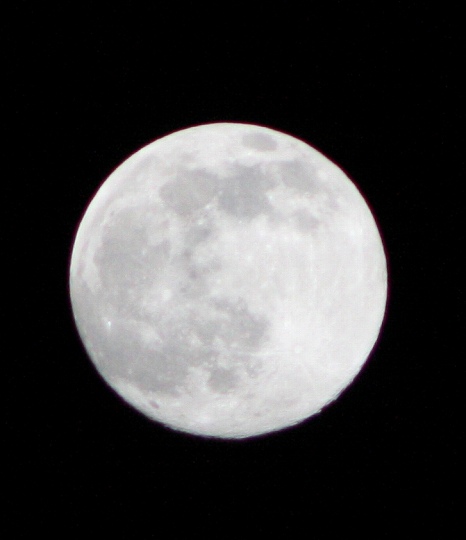 b0115085_23195577.jpg