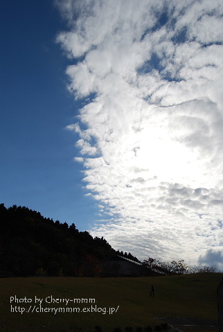c0156789_20274391.jpg