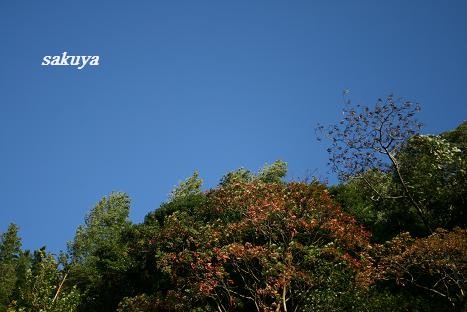 e0122194_1921036.jpg