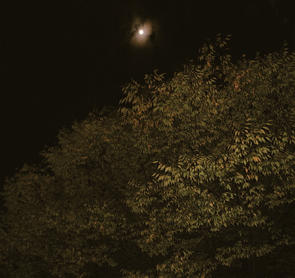 c0015099_2155672.jpg