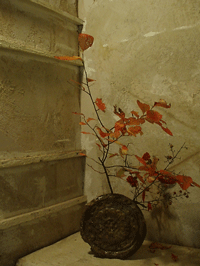 c0129702_21404158.gif