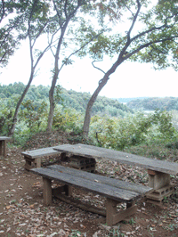 c0129702_21463576.gif