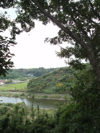 c0129702_214795.gif