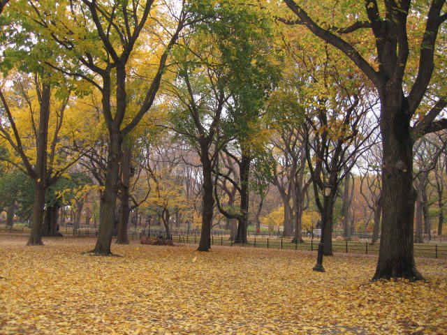 f0036409_1059634.jpg