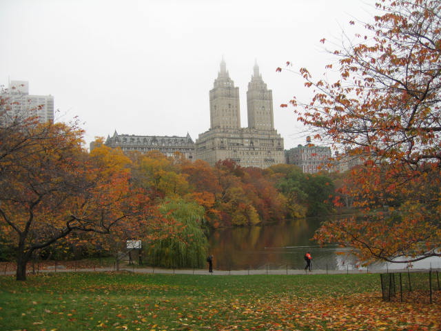 f0036409_115687.jpg