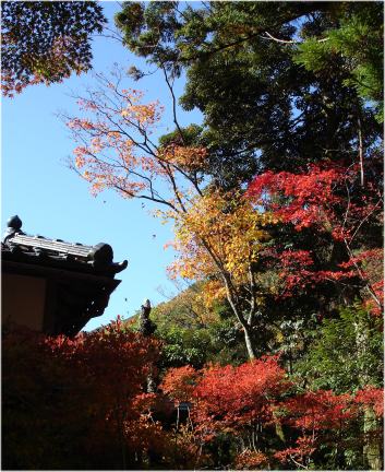 山中温泉の紅葉！_d0014310_2121362.jpg