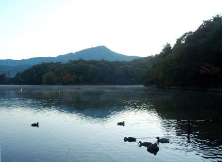 紅葉の宝が池_e0048413_23495574.jpg