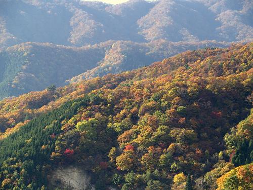 奥伊吹の紅葉　１_f0000813_20564291.jpg