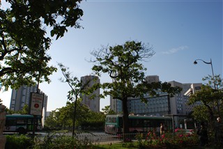 自分をなぞり、重ね、踏みしめる記憶と石畳_c0116714_1236496.jpg