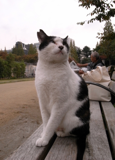c0136217_8373164.jpg