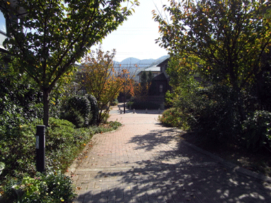 b0049318_2316153.gif