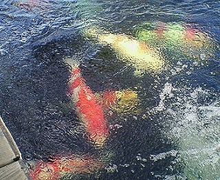 f0077727_1918749.jpg