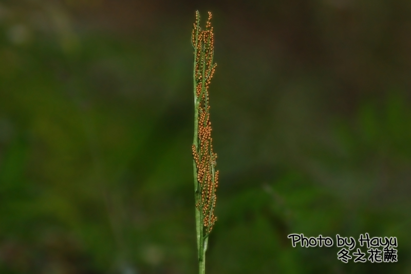 a0059328_07248.jpg