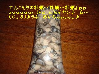 f0031037_2054579.jpg