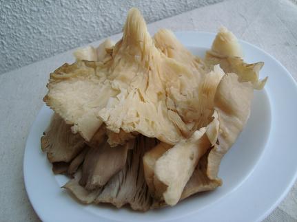 e0120938_01094.jpg
