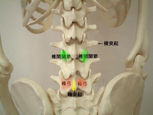 ★心と体★_f0170341_17123236.jpg