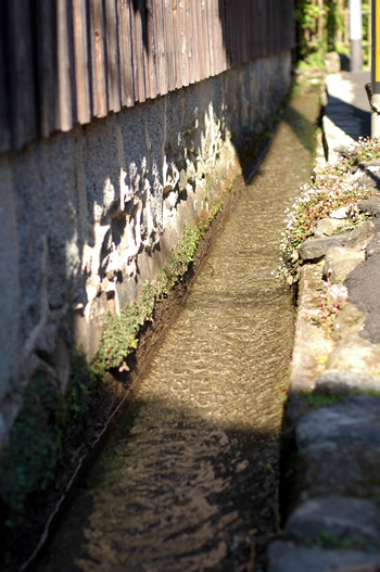 日帰りドライブ in 秋月_b0016049_23113517.jpg