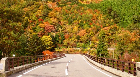 針畑大橋と途中トンネル・・小入峠からの紅葉_d0005250_18215961.jpg