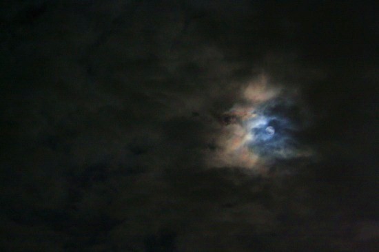 e0126350_20291964.jpg