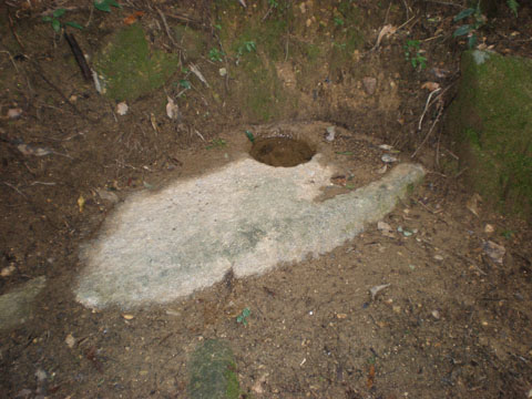 c0125356_110927.jpg