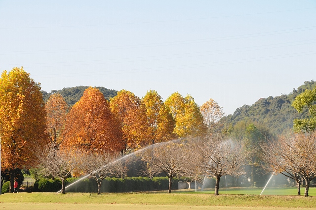 a0016161_20434435.jpg