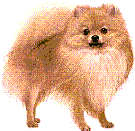 a0102461_11125446.gif