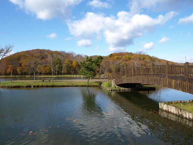 初冬の緑ヶ丘公園_d0153062_8233888.jpg