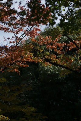 d0141365_2015315.jpg