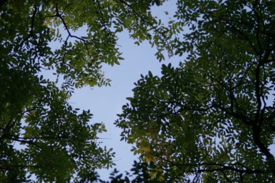 d0141365_204337.jpg