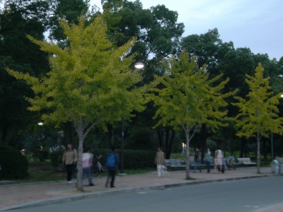 d0141365_2081069.jpg