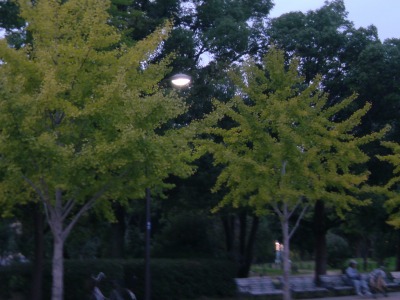 d0141365_208178.jpg