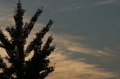 d0141365_2082553.jpg