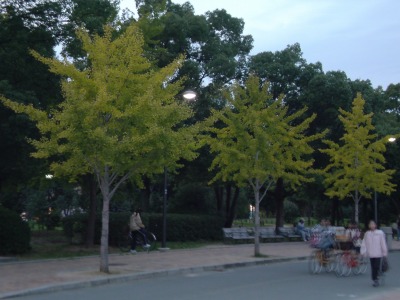 d0141365_208453.jpg