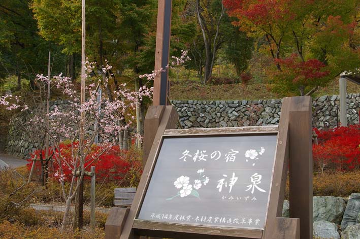 シリーズ：秋の利根川紀行―水源の森を訪ねて―第３回_c0014967_2128232.jpg
