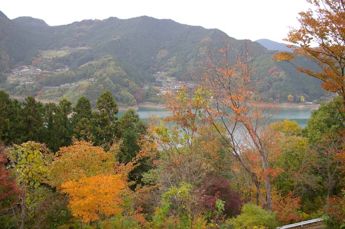 シリーズ：秋の利根川紀行―水源の森を訪ねて―第３回_c0014967_22323629.jpg