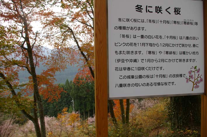シリーズ：秋の利根川紀行―水源の森を訪ねて―第３回_c0014967_22381140.jpg