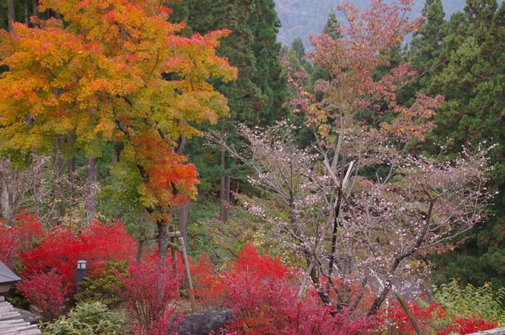 シリーズ：秋の利根川紀行―水源の森を訪ねて―第３回_c0014967_22405563.jpg