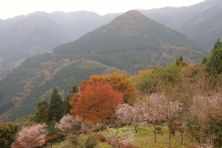 シリーズ：秋の利根川紀行―水源の森を訪ねて―第３回_c0014967_22411175.jpg