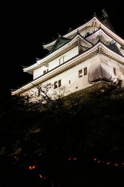 竹燈夜　-和歌山城-_a0056769_3151890.jpg