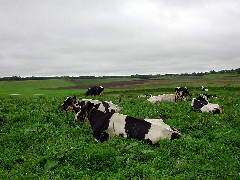 e0100772_22401629.jpg