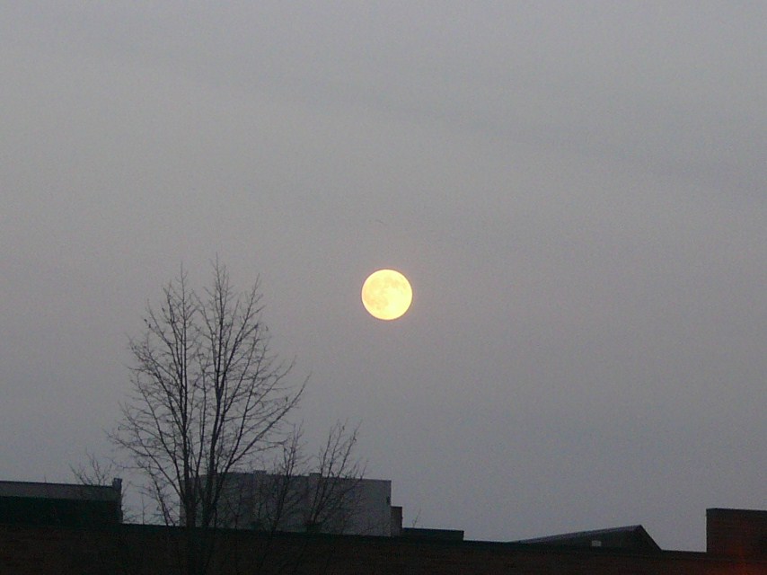 a0100975_12365799.jpg