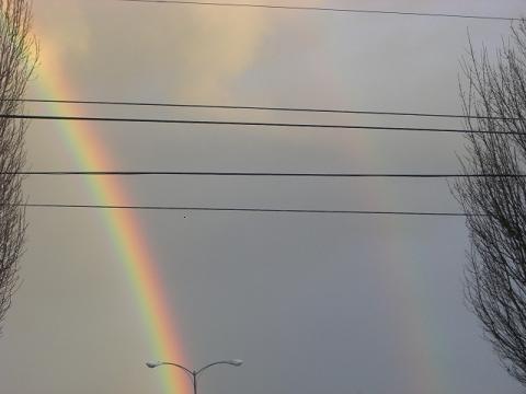 f0112080_16761.jpg