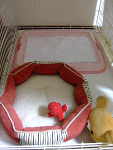 e0160787_229482.gif