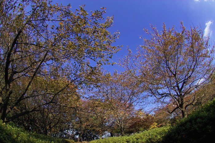 c0124795_1715178.jpg