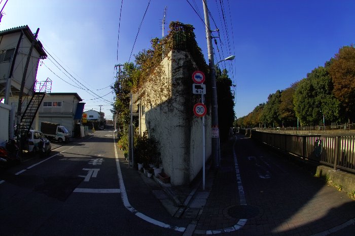 c0124795_1722650.jpg