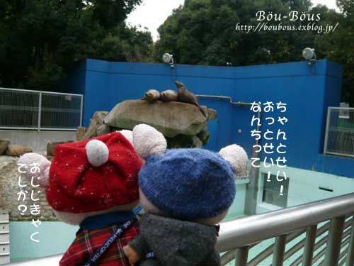 千葉市動物公園…第４弾♪_d0128697_1252853.jpg