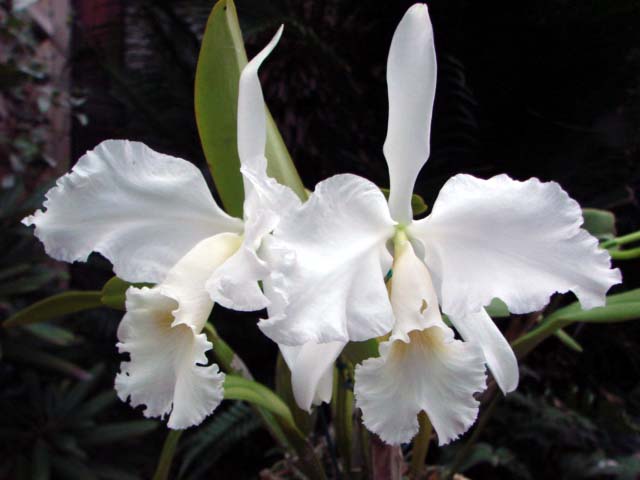 d0007501_21485835.jpg